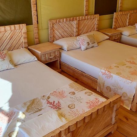 Glamping Ecolodge Cueva De Las Aguilas Pedernales Zewnętrze zdjęcie